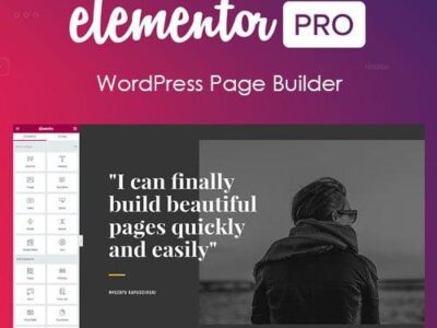 Elementor PRO WordPress Page Builder + Pro Templates